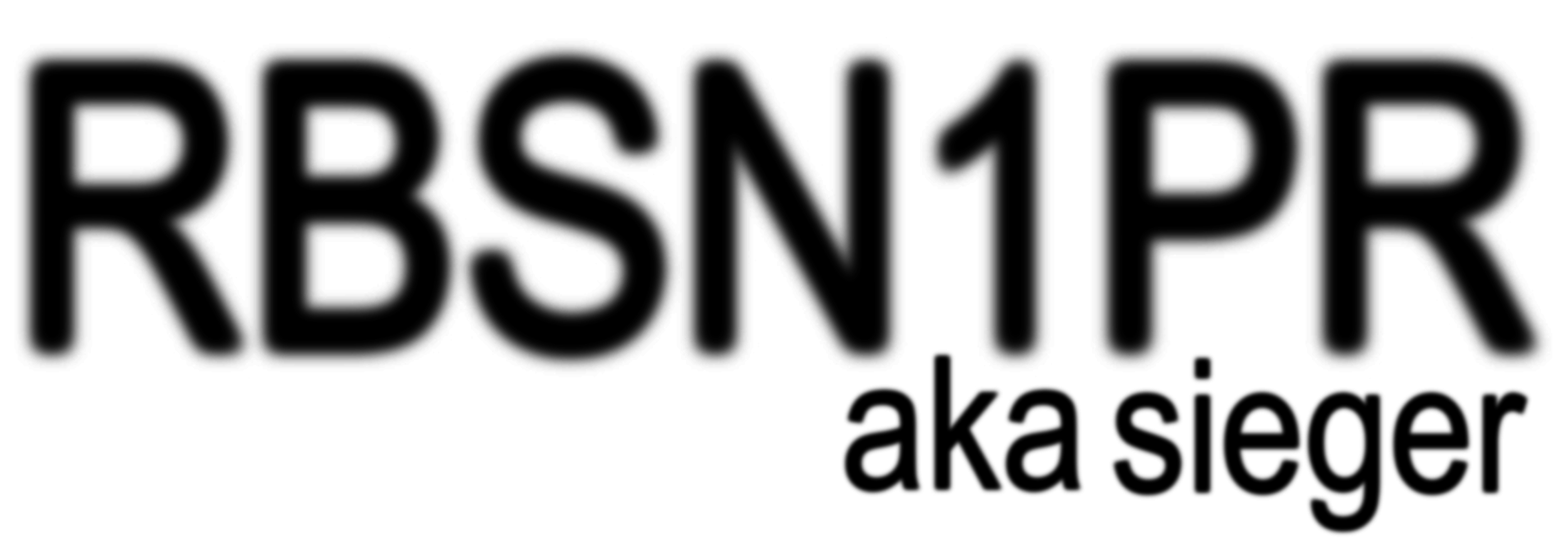 text that says 'RBSN1PR aka sieger'